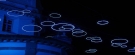 Luci d'Artista - Lights on the bus